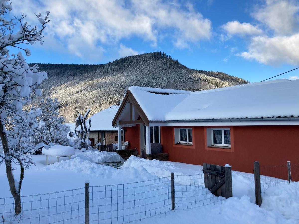 Gite Le Cerf Volant Raon-sur-Plaine Экстерьер фото